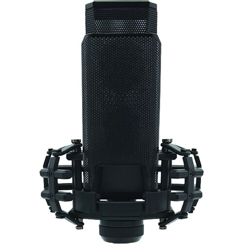 CAD Equitek E150 Large Diaphragm Condenser Microphone