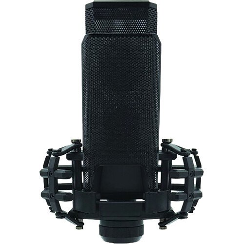 CAD Equitek E150 Large Diaphragm Condenser Microphone