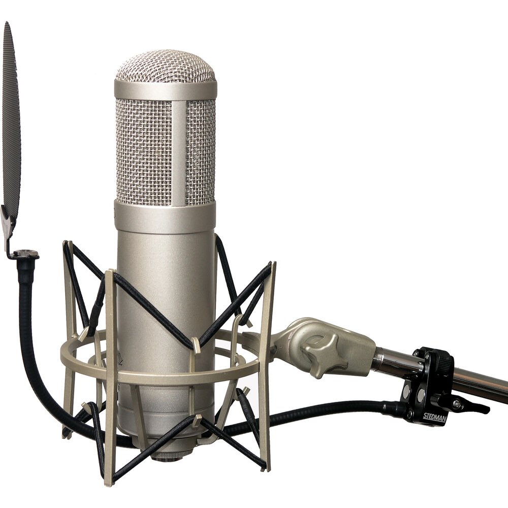 Stedman Corporation Proscreen PS101 V2 Pop Filter