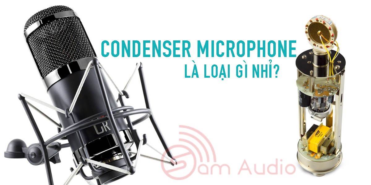 CONDENSER MICROPHONE - MICRO MÀNG ĐIỆN DUNG