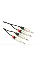 Hosa HSS-010X2 Pro Stereo Interconnect Cable - Dual REAN 1/4-inch TRS Male to Dual REAN 1/4-inch TRS Male - 10 foot
