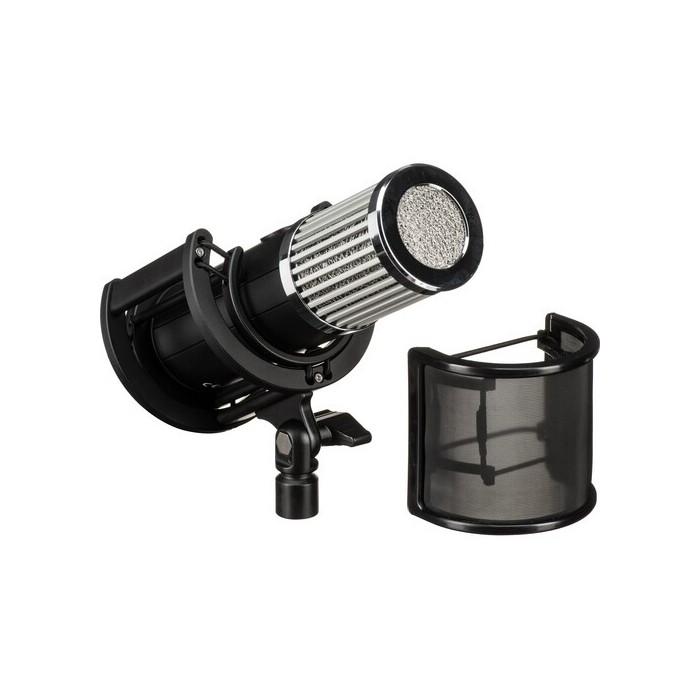 512 Audio Skylight Large-diaphragm Condenser Microphone