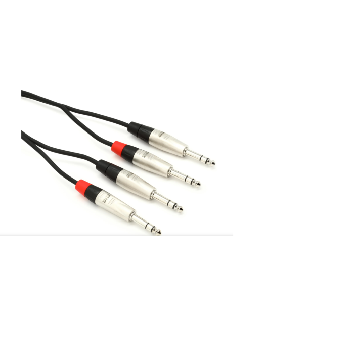 Hosa HSS-010X2 Pro Stereo Interconnect Cable - Dual REAN 1/4-inch TRS Male to Dual REAN 1/4-inch TRS Male - 10 foot